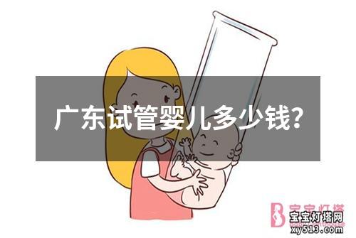 广东试管婴儿多少钱？