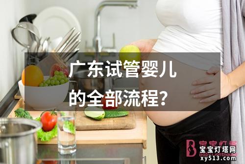 广东试管婴儿的全部流程？