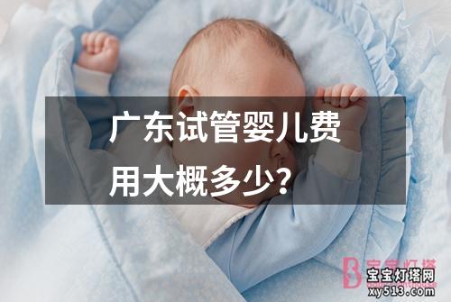 广东试管婴儿费用大概多少？