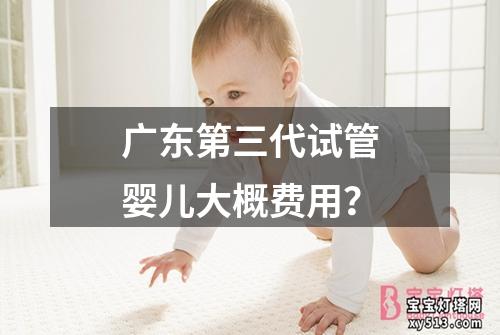 广东第三代试管婴儿大概费用？