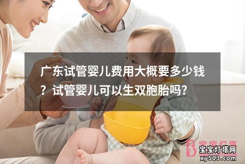 广东试管婴儿费用大概要多少钱？试管婴儿可以生双胞胎吗？
