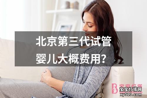 北京第三代试管婴儿大概费用？