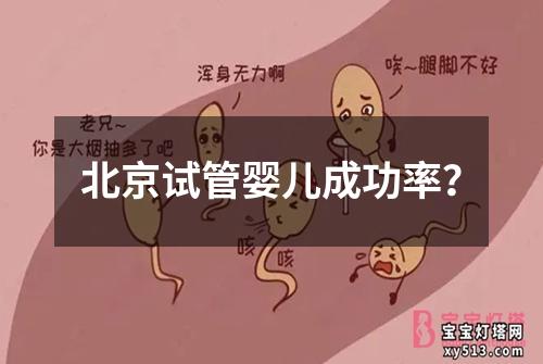 北京试管婴儿成功率？