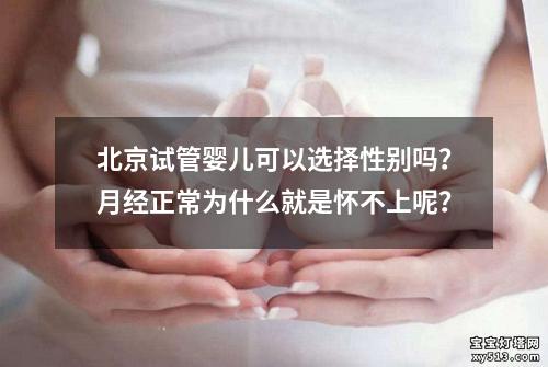 北京试管婴儿可以选择性别吗？月经正常为什么就是怀不上呢？