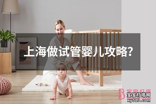 上海做试管婴儿攻略？