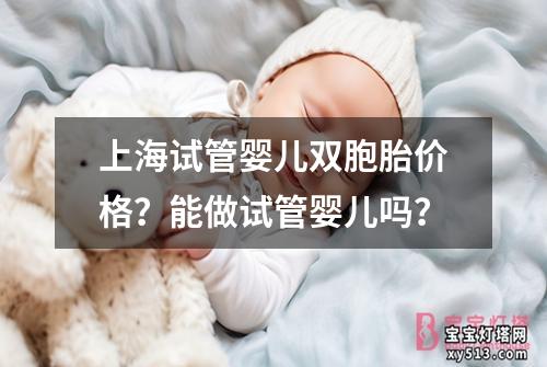 上海试管婴儿双胞胎价格？能做试管婴儿吗？