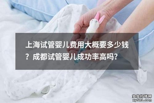 上海试管婴儿费用大概要多少钱？成都试管婴儿成功率高吗？