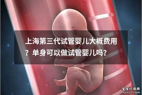 上海第三代试管婴儿大概费用？单身可以做试管婴儿吗？
