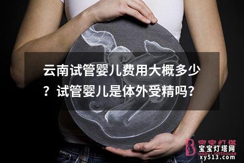 云南试管婴儿费用大概多少？试管婴儿是体外受精吗？