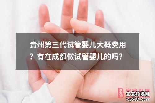 贵州第三代试管婴儿大概费用？有在成都做试管婴儿的吗？