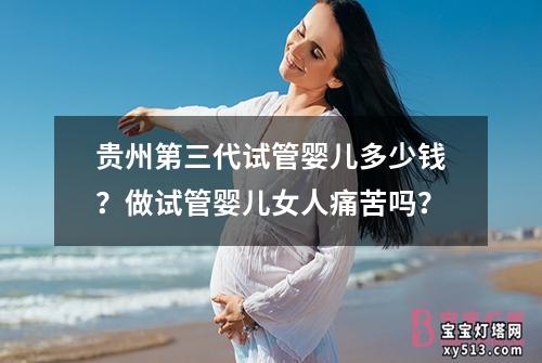 贵州第三代试管婴儿多少钱？做试管婴儿女人痛苦吗？