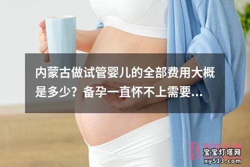 内蒙古做试管婴儿的全部费用大概是多少？备孕一直怀不上需要做啥检查？