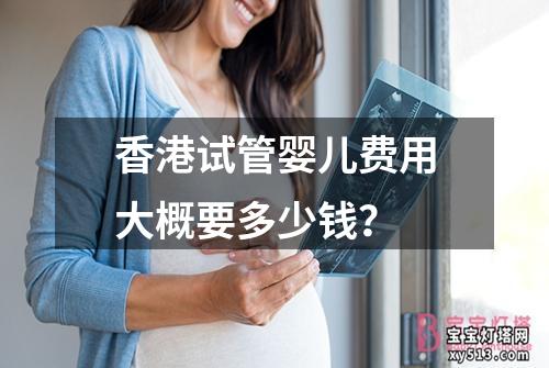 香港试管婴儿费用大概要多少钱？