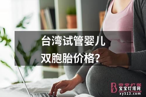 台湾试管婴儿双胞胎价格？