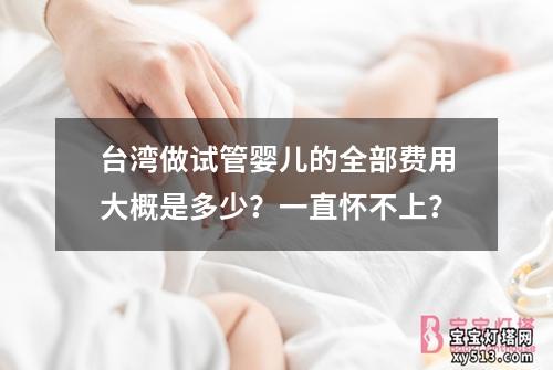 台湾做试管婴儿的全部费用大概是多少？一直怀不上？