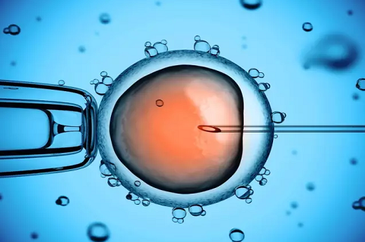 试管婴儿流程怎么选胚胎？-宝宝灯塔网