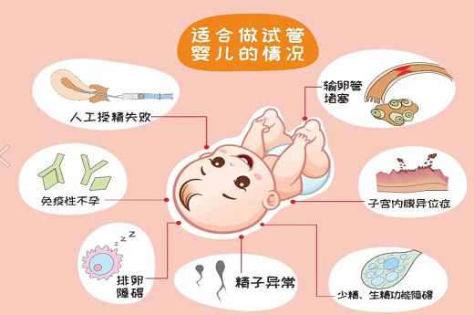 上海第十院试管婴儿怎么样？-宝宝灯塔网