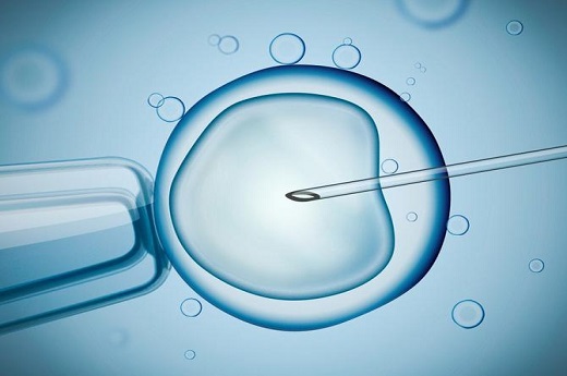 试管婴儿胚胎仪器怎么用？-宝宝灯塔网