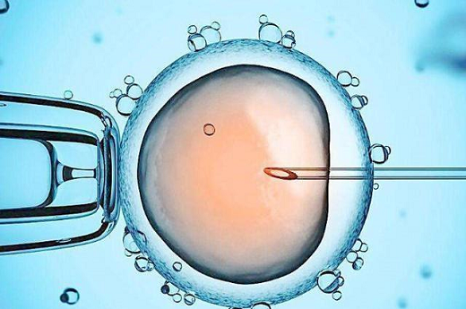 试管婴儿怎么知道胚胎成熟？-宝宝灯塔网