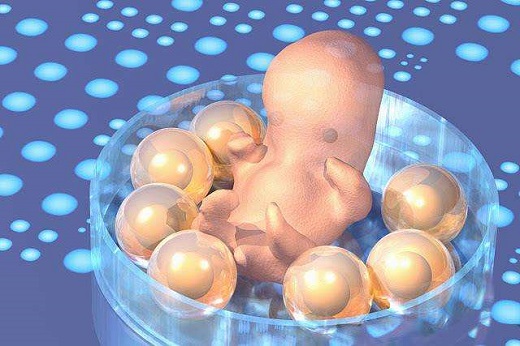 试管婴儿胚胎怎么算成功？-宝宝灯塔网