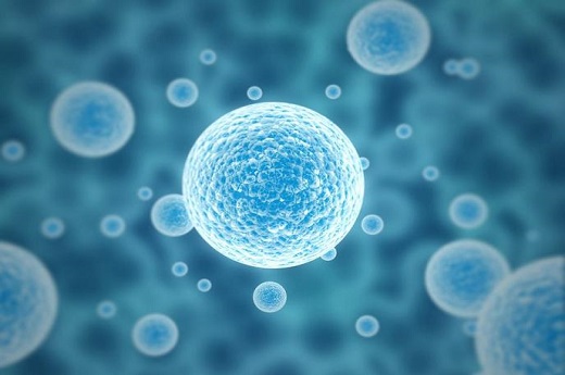 试管哪类人最容易成功-做试管全部流程需要几个月