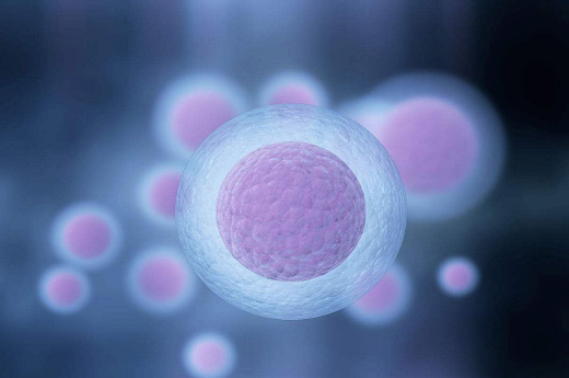 试管男孩多少钱呀、试管男孩多少钱？